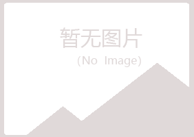 山城区寒珊会计有限公司